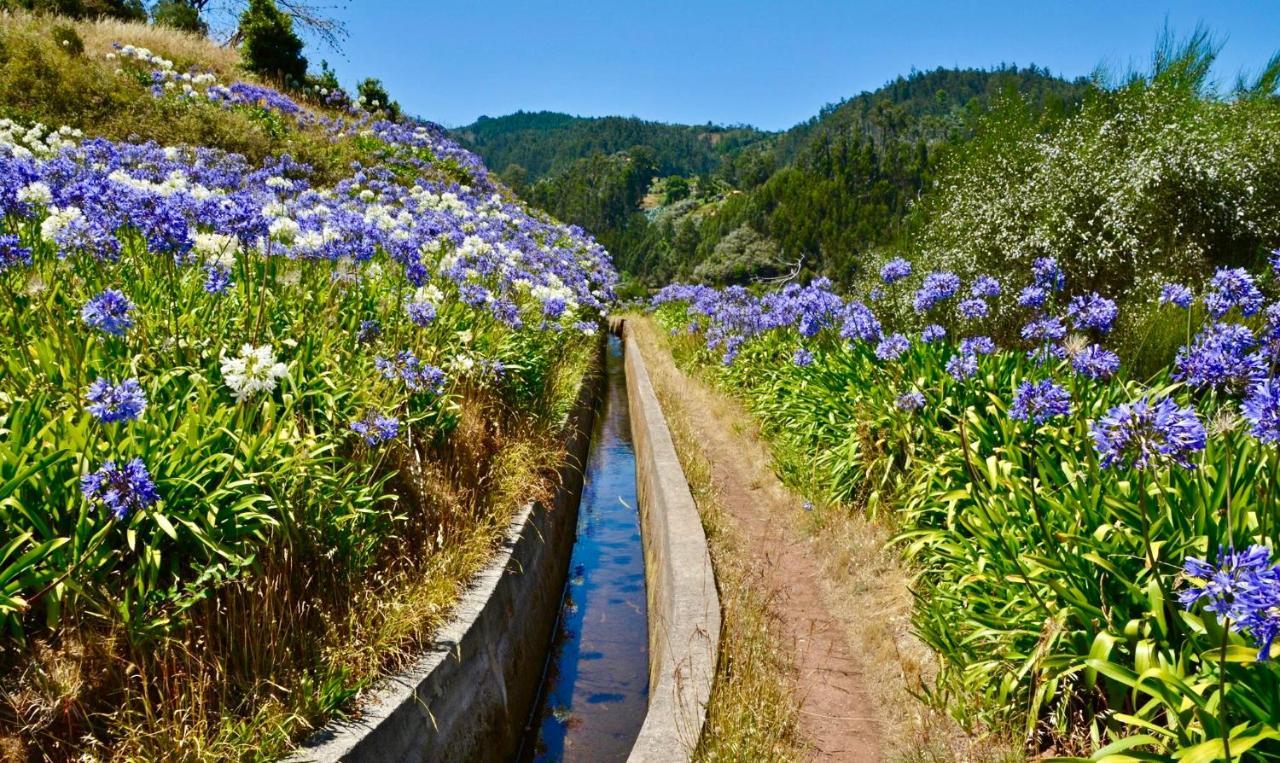 아르코다카헤타 Casa Da Relva Com Piscina Aquecida Interna 아파트 외부 사진